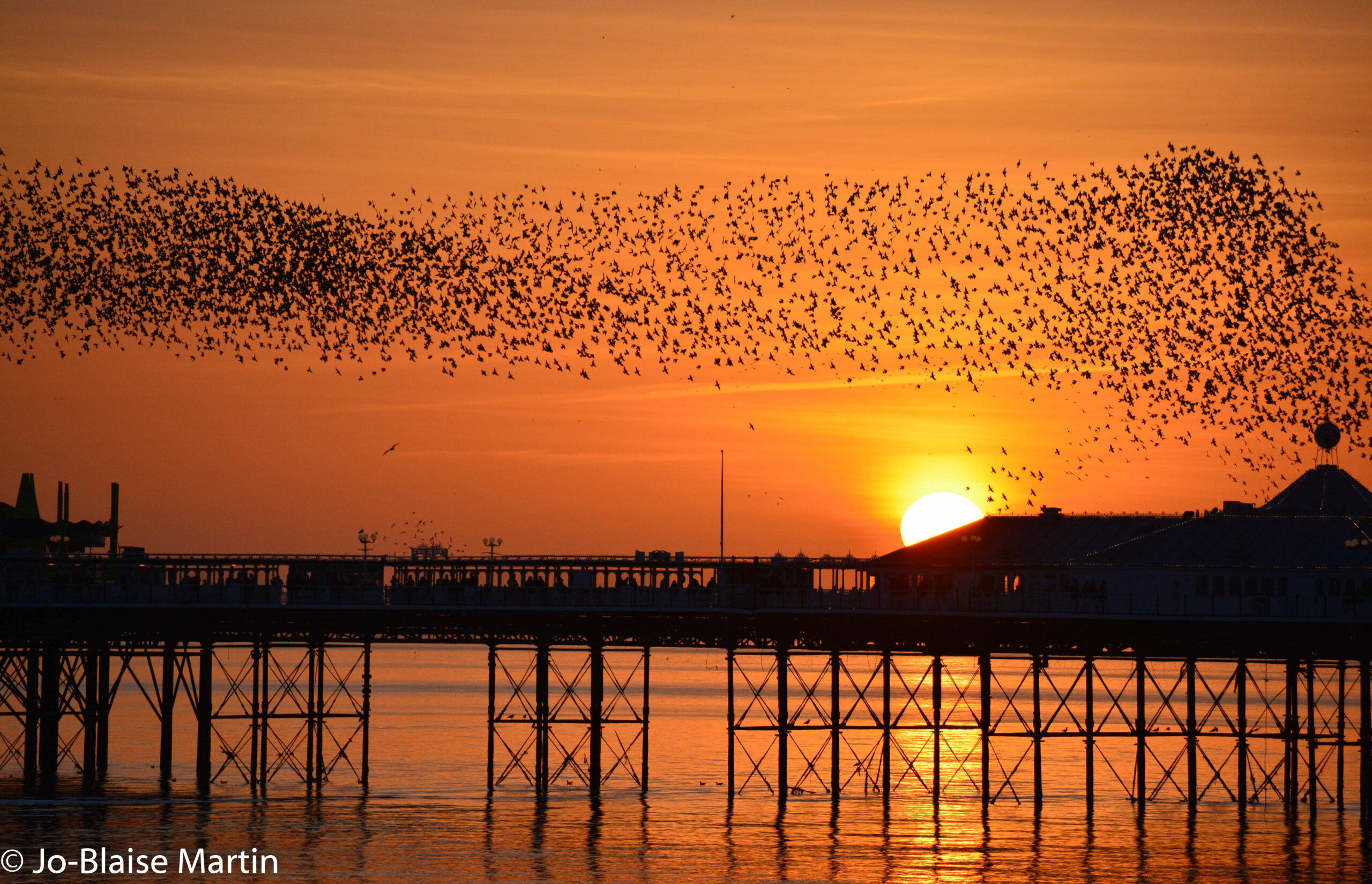 Starling murmuration over Brighton Palace Pier at sunset